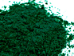 Chlorella is the new green super food!