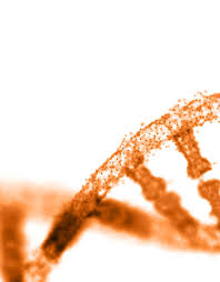 Normocellular bone marrow with progressive trilineage hematopoiesis