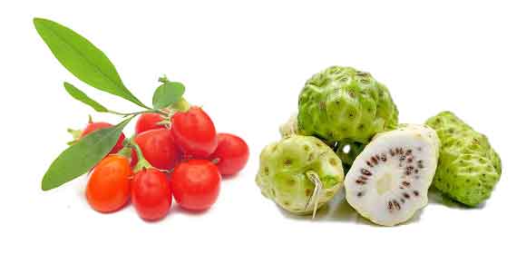 Goji vs Noni or is it Liquid Power?