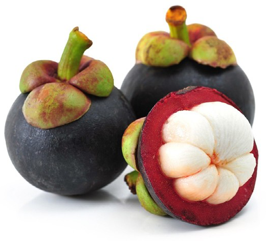 Mangosteen Xanthones in Mangosteen Elixir